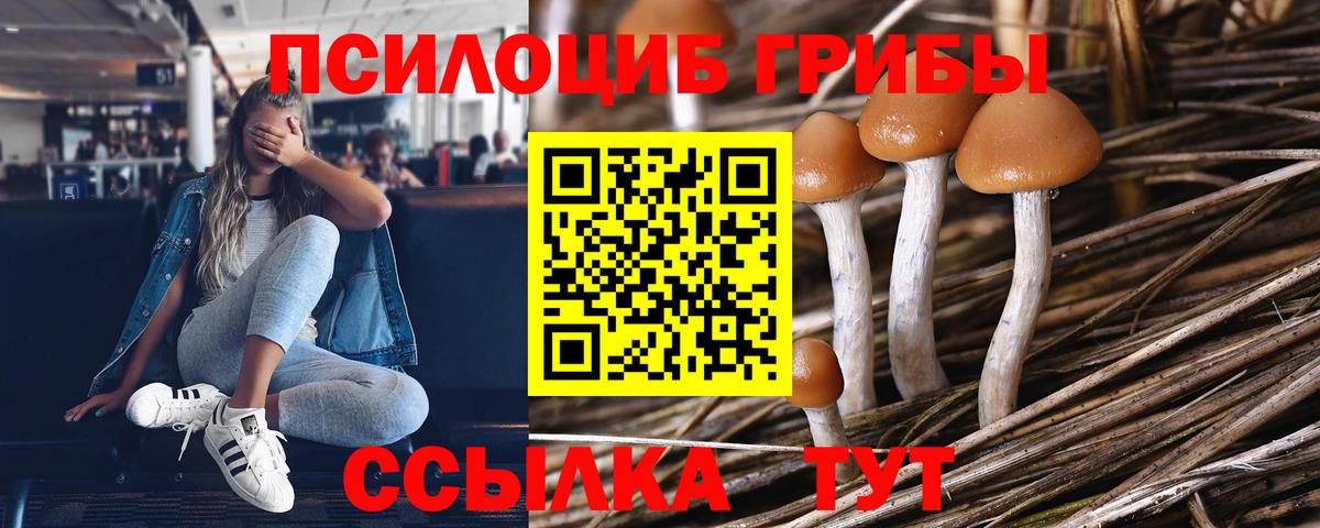 Псилоцибиновые грибы Magic Shrooms  Галлюциногенные грибы ЛСД  Вход с VPN  Кубинка 
